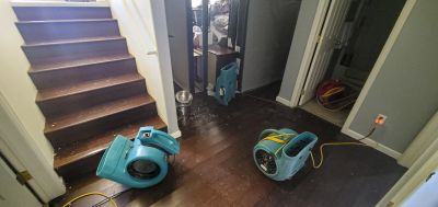 Subfloor Replacement Service